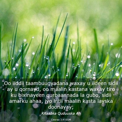 Picture 03 - Cesraa 3:4 SOM - Oo iiddii taambuugyadana waxay u iideen sidii ay - Bible Verse Picture