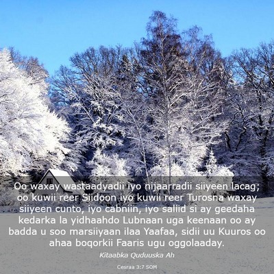 Picture 03 - Cesraa 3:7 SOM - Oo waxay wastaadyadii iyo nijaarradii siiyeen - Bible Verse Picture