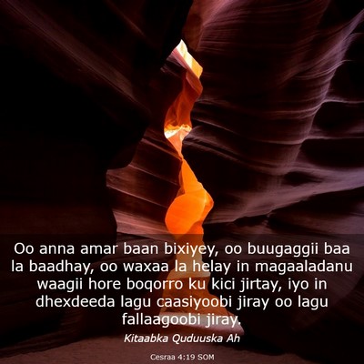 Picture 03 - Cesraa 4:19 SOM - Oo anna amar baan bixiyey, oo buugaggii baa la - Bible Verse Picture