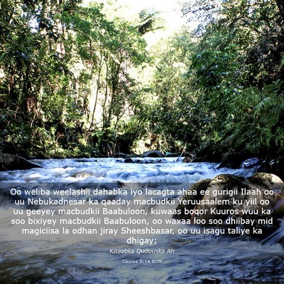 Picture 03 - Cesraa 5:14 SOM - Oo weliba weelashii dahabka iyo lacagta ahaa ee - Bible Verse Picture