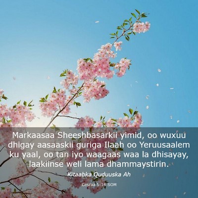 Picture 03 - Cesraa 5:16 SOM - Markaasaa Sheeshbasarkii yimid, oo wuxuu dhigay - Bible Verse Picture