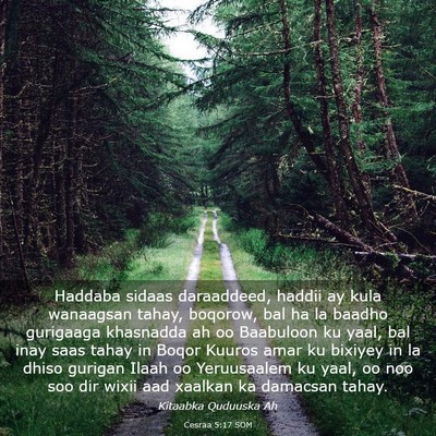 Picture 03 - Cesraa 5:17 SOM - Haddaba sidaas daraaddeed, haddii ay kula - Bible Verse Picture