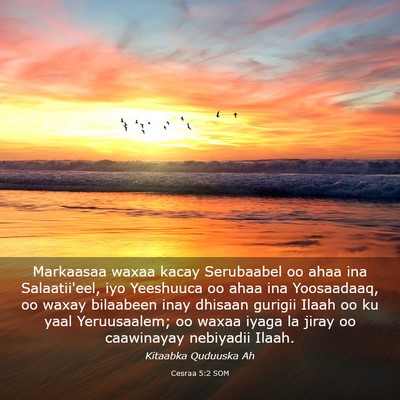 Picture 03 - Cesraa 5:2 SOM - Markaasaa waxaa kacay Serubaabel oo ahaa ina - Bible Verse Picture