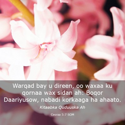 Picture 03 - Cesraa 5:7 SOM - Warqad bay u direen, oo waxaa ku qornaa wax sidan - Bible Verse Picture