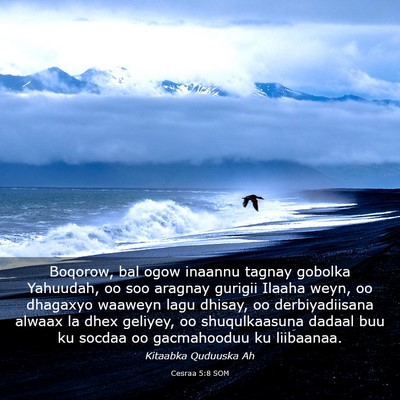 Picture 03 - Cesraa 5:8 SOM - Boqorow, bal ogow inaannu tagnay gobolka - Bible Verse Picture