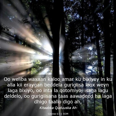 Picture 03 - Cesraa 6:11 SOM - Oo weliba waxaan kaloo amar ku bixiyey in ku alla - Bible Verse Picture