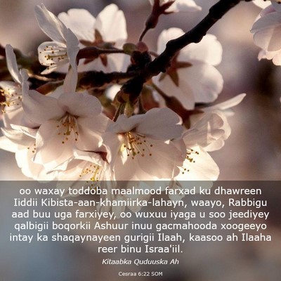 Picture 03 - Cesraa 6:22 SOM - oo waxay toddoba maalmood farxad ku dhawreen - Bible Verse Picture