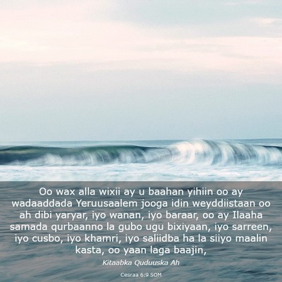 Picture 03 - Cesraa 6:9 SOM - Oo wax alla wixii ay u baahan yihiin oo ay - Bible Verse Picture