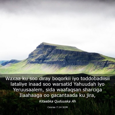 Picture 03 - Cesraa 7:14 SOM - Waxaa ku soo diray boqorkii iyo toddobadiisii - Bible Verse Picture