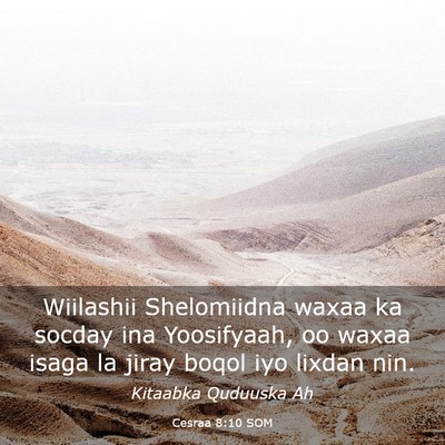Picture 03 - Cesraa 8:10 SOM - Wiilashii Shelomiidna waxaa ka socday ina - Bible Verse Picture