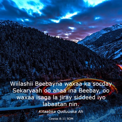 Picture 03 - Cesraa 8:11 SOM - Wiilashii Beebayna waxaa ka socday Sekaryaah oo - Bible Verse Picture