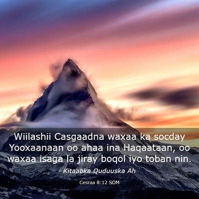 Picture 03 - Cesraa 8:12 SOM - Wiilashii Casgaadna waxaa ka socday Yooxaanaan oo - Bible Verse Picture