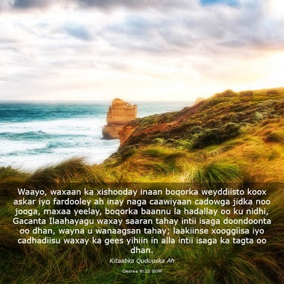 Picture 03 - Cesraa 8:22 SOM - Waayo, waxaan ka xishooday inaan boqorka - Bible Verse Picture