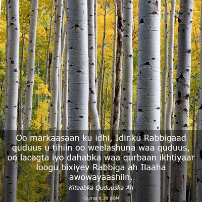 Picture 03 - Cesraa 8:28 SOM - Oo markaasaan ku idhi, Idinku Rabbigaad quduus u - Bible Verse Picture