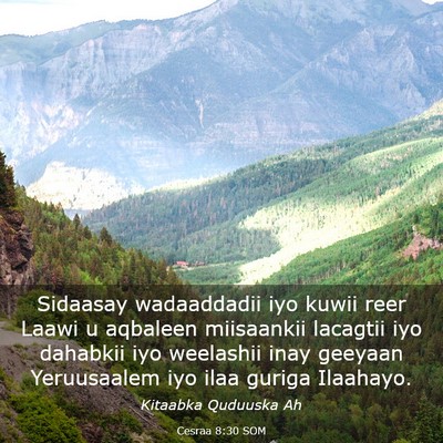 Picture 03 - Cesraa 8:30 SOM - Sidaasay wadaaddadii iyo kuwii reer Laawi u - Bible Verse Picture