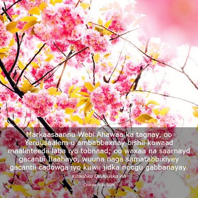 Picture 03 - Cesraa 8:31 SOM - Markaasaannu Webi Ahawaa ka tagnay, oo - Bible Verse Picture