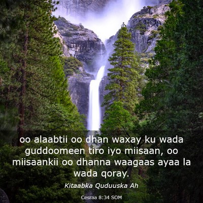Picture 03 - Cesraa 8:34 SOM - oo alaabtii oo dhan waxay ku wada guddoomeen tiro - Bible Verse Picture