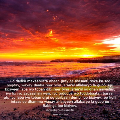 Picture 03 - Cesraa 8:35 SOM - Oo dadkii maxaabiista ahaan jiray ee masaafuriska - Bible Verse Picture