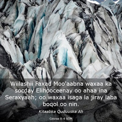 Picture 03 - Cesraa 8:4 SOM - Wiilashii Faxad Moo'aabna waxaa ka socday - Bible Verse Picture