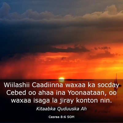 Picture 03 - Cesraa 8:6 SOM - Wiilashii Caadiinna waxaa ka socday Cebed oo ahaa - Bible Verse Picture