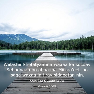Picture 03 - Cesraa 8:8 SOM - Wiilashii Shefatyaahna waxaa ka socday Sebadyaah - Bible Verse Picture