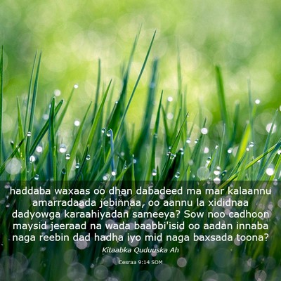 Picture 03 - Cesraa 9:14 SOM - haddaba waxaas oo dhan dabadeed ma mar kalaannu - Bible Verse Picture