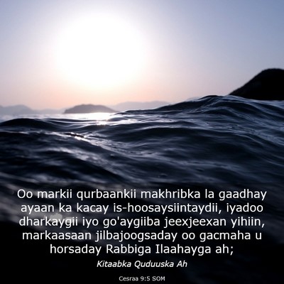 Picture 03 - Cesraa 9:5 SOM - Oo markii qurbaankii makhribka la gaadhay ayaan - Bible Verse Picture