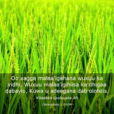 Picture 03 - Cibraaniyada 1:7 SOM - Oo xagga malaa'igahana wuxuu ka yidhi, Wuxuu - Bible Verse Picture