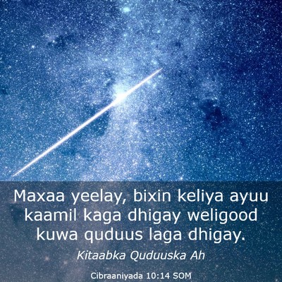 Picture 03 - Cibraaniyada 10:14 SOM - Maxaa yeelay, bixin keliya ayuu kaamil kaga - Bible Verse Picture