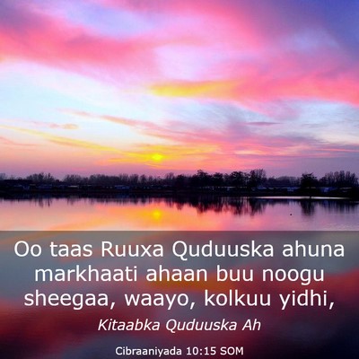 Picture 03 - Cibraaniyada 10:15 SOM - Oo taas Ruuxa Quduuska ahuna markhaati ahaan buu - Bible Verse Picture