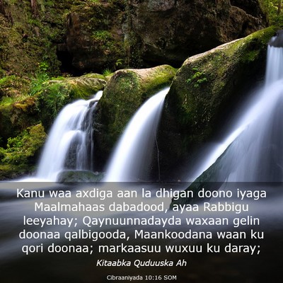 Picture 03 - Cibraaniyada 10:16 SOM - Kanu waa axdiga aan la dhigan doono iyaga - Bible Verse Picture