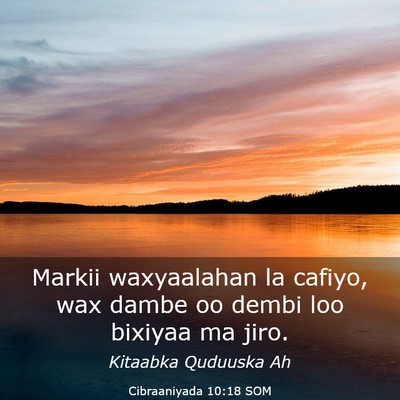 Picture 03 - Cibraaniyada 10:18 SOM - Markii waxyaalahan la cafiyo, wax dambe oo dembi - Bible Verse Picture