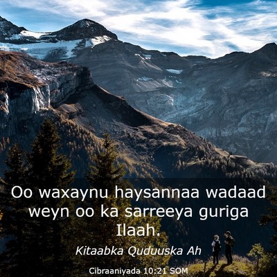 Picture 03 - Cibraaniyada 10:21 SOM - Oo waxaynu haysannaa wadaad weyn oo ka sarreeya - Bible Verse Picture