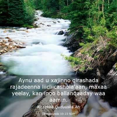Picture 03 - Cibraaniyada 10:23 SOM - Aynu aad u xajinno qirashada rajadeenna - Bible Verse Picture