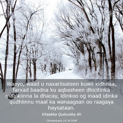 Picture 03 - Cibraaniyada 10:34 SOM - Waayo, waad u naxariisateen kuwii xidhnaa, farxad - Bible Verse Picture