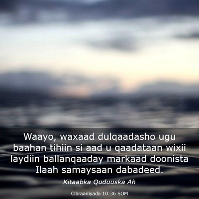 Picture 03 - Cibraaniyada 10:36 SOM - Waayo, waxaad dulqaadasho ugu baahan tihiin si - Bible Verse Picture