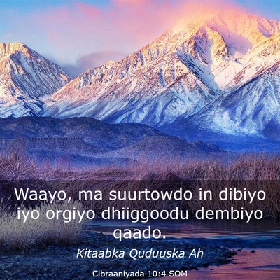 Picture 03 - Cibraaniyada 10:4 SOM - Waayo, ma suurtowdo in dibiyo iyo orgiyo - Bible Verse Picture