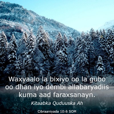 Picture 03 - Cibraaniyada 10:6 SOM - Waxyaalo la bixiyo oo la gubo oo dhan iyo dembi - Bible Verse Picture