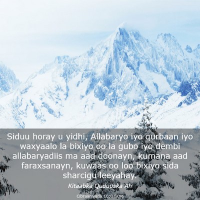 Picture 03 - Cibraaniyada 10:8 SOM - Siduu horay u yidhi, Allabaryo iyo qurbaan iyo - Bible Verse Picture