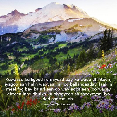 Picture 03 - Cibraaniyada 11:13 SOM - Kuwaasu kulligood rumaysad bay ku wada dhinteen, - Bible Verse Picture