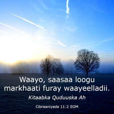 Picture 03 - Cibraaniyada 11:2 SOM - Waayo, saasaa loogu markhaati furay - Bible Verse Picture