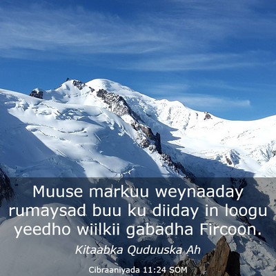 Picture 03 - Cibraaniyada 11:24 SOM - Muuse markuu weynaaday rumaysad buu ku diiday in - Bible Verse Picture