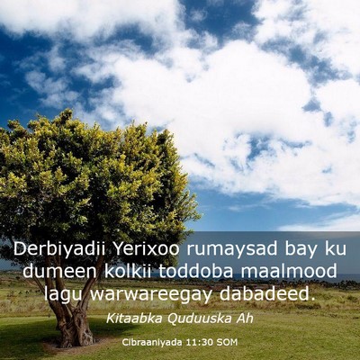 Picture 03 - Cibraaniyada 11:30 SOM - Derbiyadii Yerixoo rumaysad bay ku dumeen kolkii - Bible Verse Picture