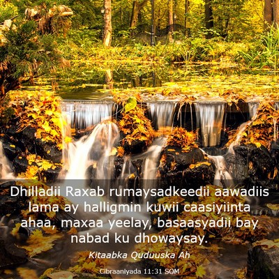 Picture 03 - Cibraaniyada 11:31 SOM - Dhilladii Raxab rumaysadkeedii aawadiis lama ay - Bible Verse Picture