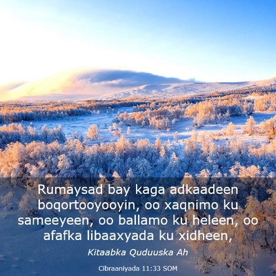 Picture 03 - Cibraaniyada 11:33 SOM - Rumaysad bay kaga adkaadeen boqortooyooyin, oo - Bible Verse Picture