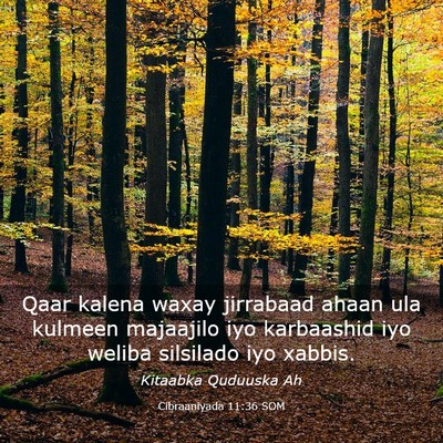 Picture 03 - Cibraaniyada 11:36 SOM - Qaar kalena waxay jirrabaad ahaan ula kulmeen - Bible Verse Picture
