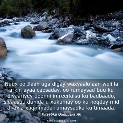 Picture 03 - Cibraaniyada 11:7 SOM - Nuux oo Ilaah uga digay waxyaalo aan weli la - Bible Verse Picture