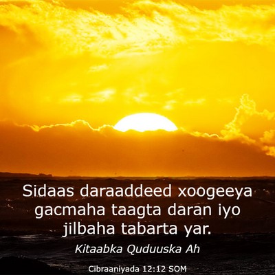 Picture 03 - Cibraaniyada 12:12 SOM - Sidaas daraaddeed xoogeeya gacmaha taagta daran - Bible Verse Picture