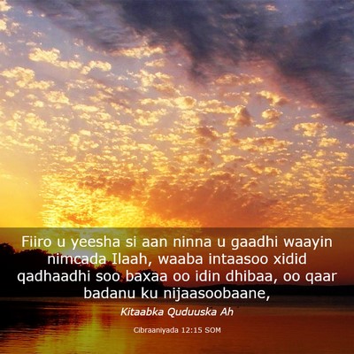 Picture 03 - Cibraaniyada 12:15 SOM - Fiiro u yeesha si aan ninna u gaadhi waayin - Bible Verse Picture