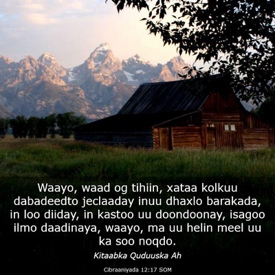 Picture 03 - Cibraaniyada 12:17 SOM - Waayo, waad og tihiin, xataa kolkuu dabadeedto - Bible Verse Picture